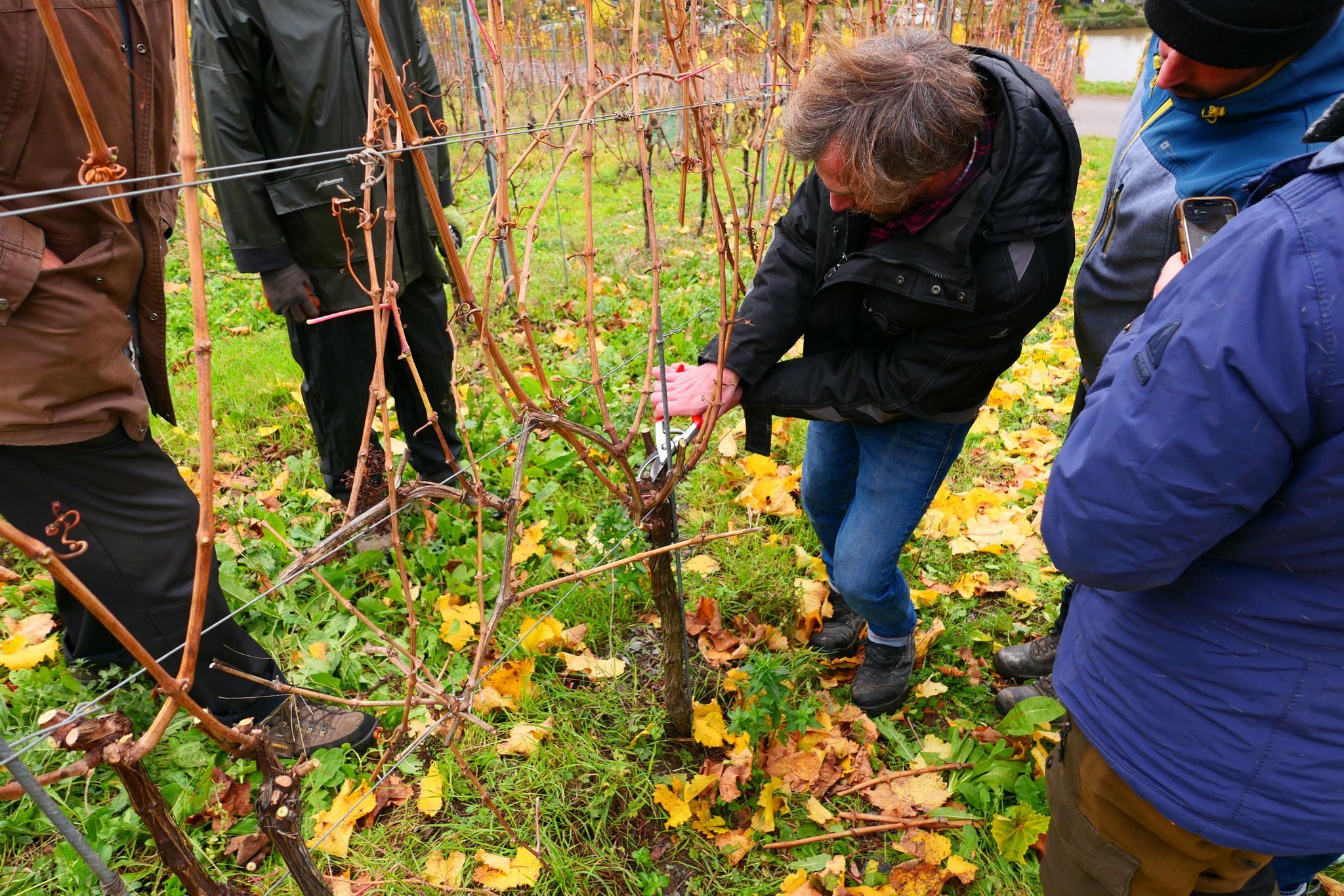 Menschen bei der Apfelernte