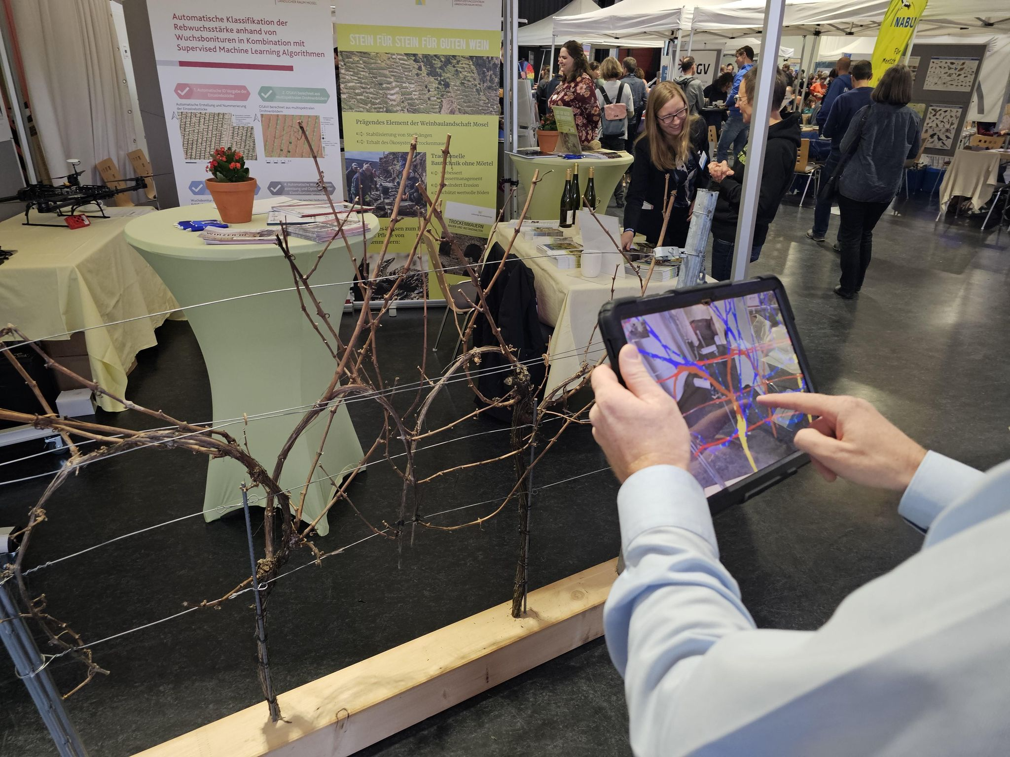 Menschen bei der Apfelernte