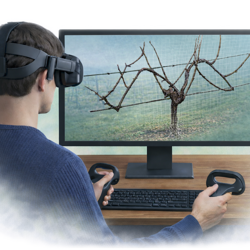 VitiVision