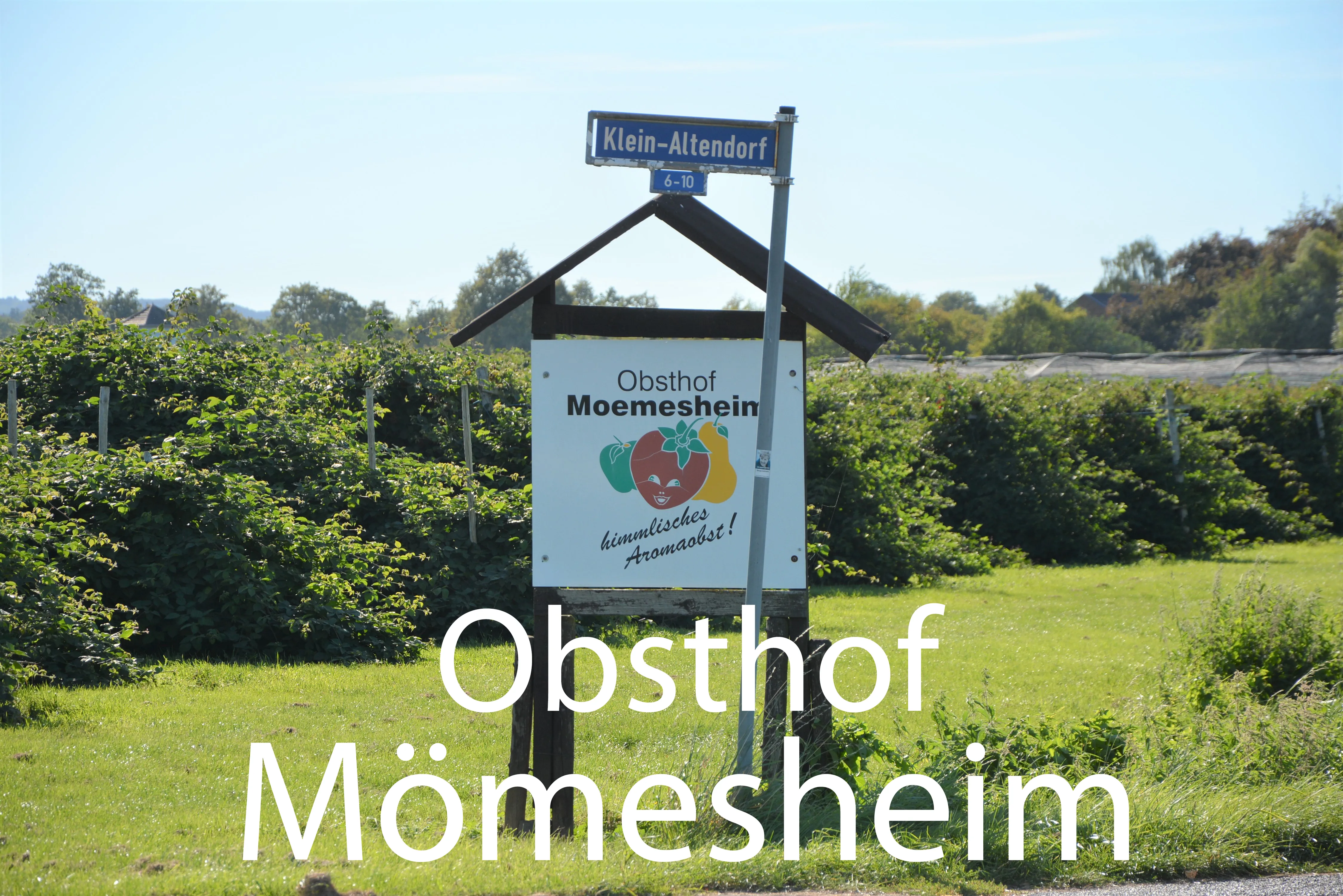 Obsthof Mömesheim